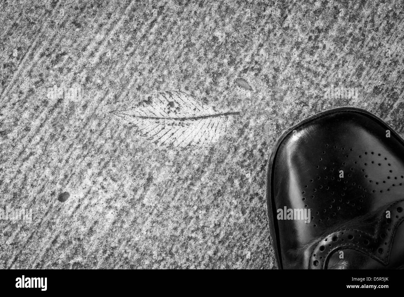 Ad intaglio accidentali: caduta di una foglia ha lasciato la sua impronta sul cemento del marciapiede. Foto Stock
