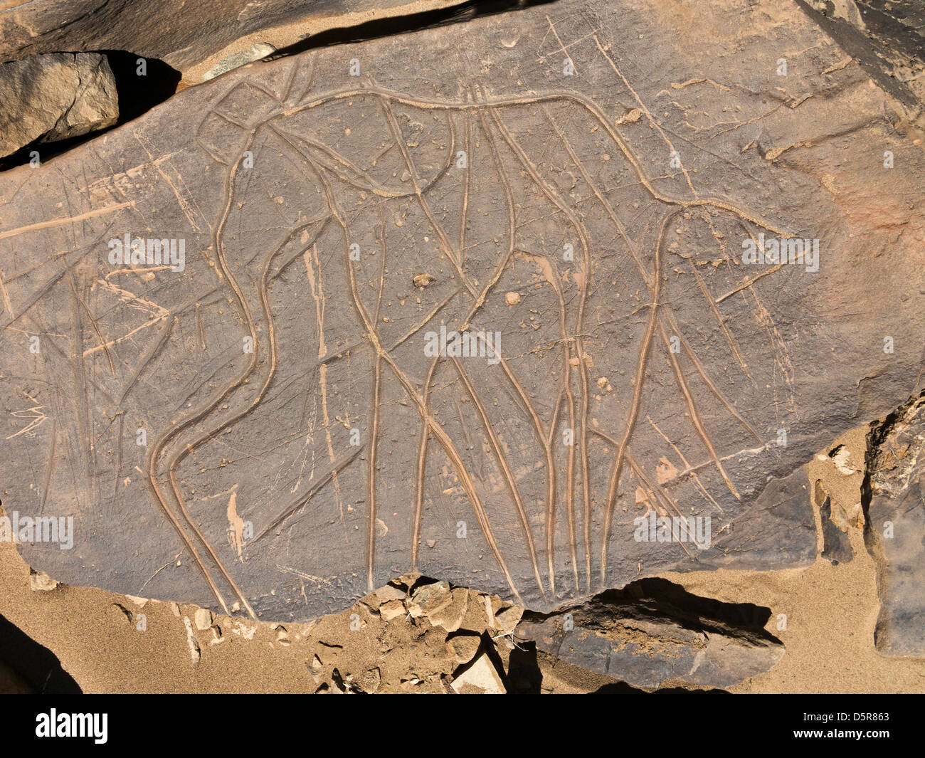 Preistoria le incisioni rupestri a Oued Mestakou sulla Tata ad Akka road in Marocco. Foto Stock