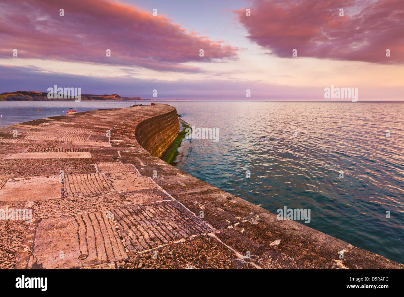 Lyme regis Cobb Tramonto, il Cobb a Lyme Regis Dorset Inghilterra UK GB Europa Foto Stock