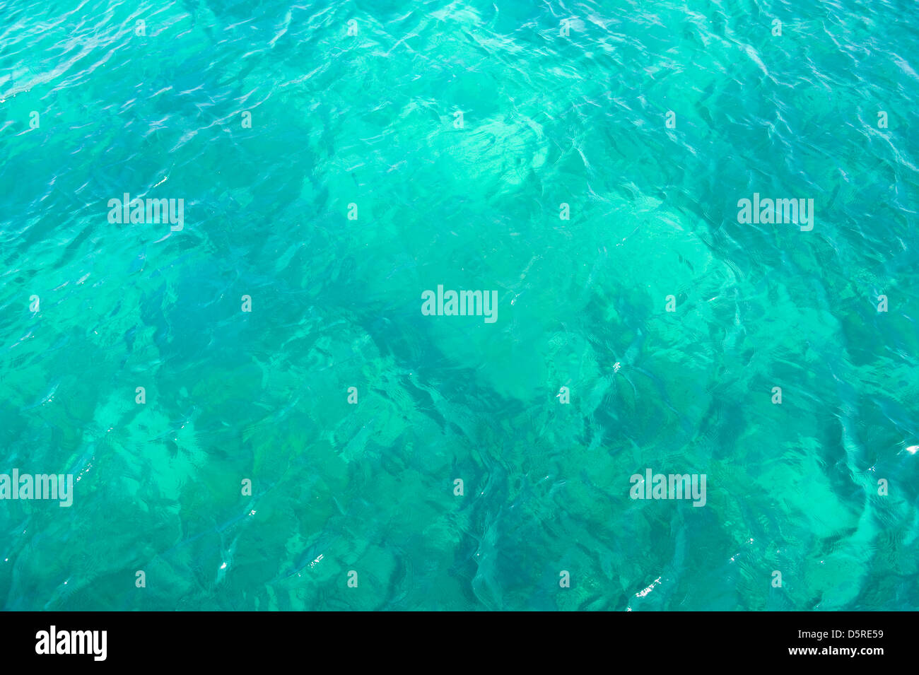 Tropical acqua chiara Foto Stock