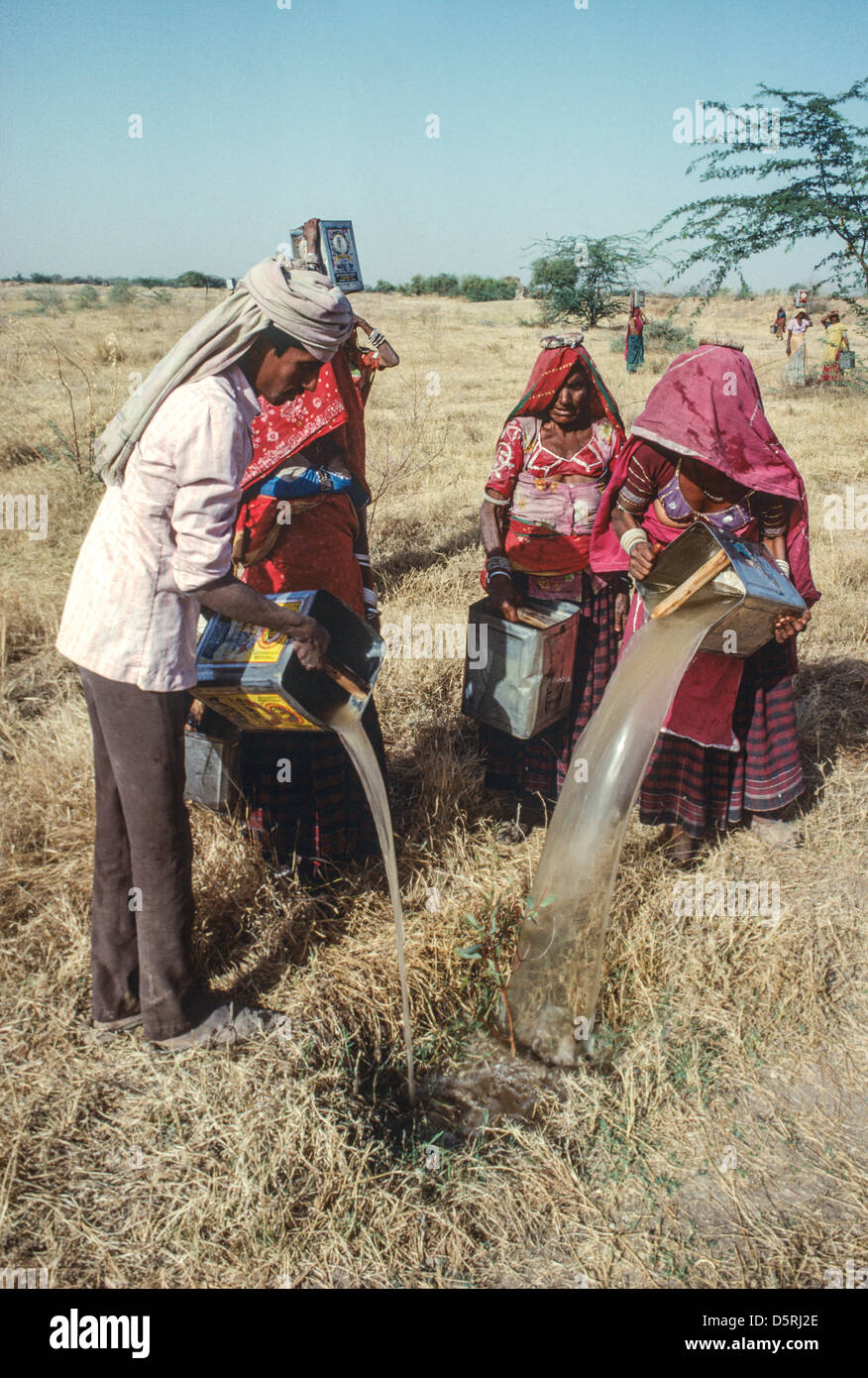 Abitanti del villaggio annaffiatura piantati di recente piantare piantine di alberi su un programma di rimboschimento. Gujarat, India Foto Stock