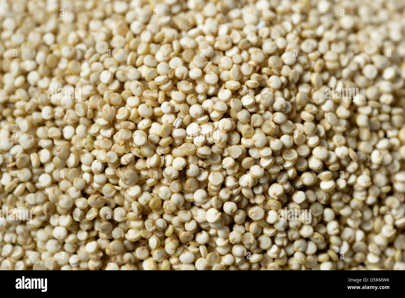 La quinoa semi telaio completo vicino. Foto Stock