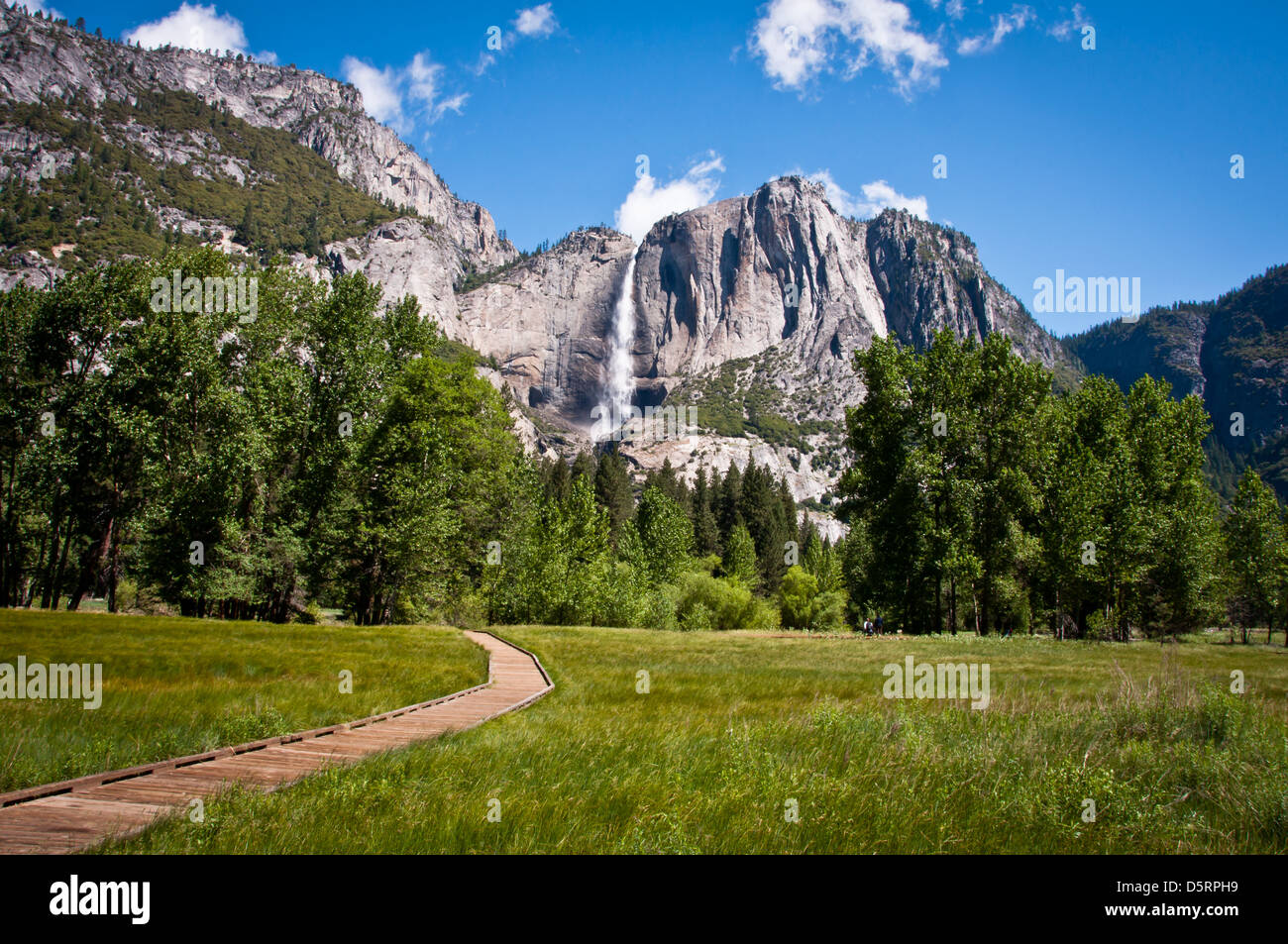 Il parco nazionale di Yosemite prato con tomaia Yosemite Falls Foto Stock