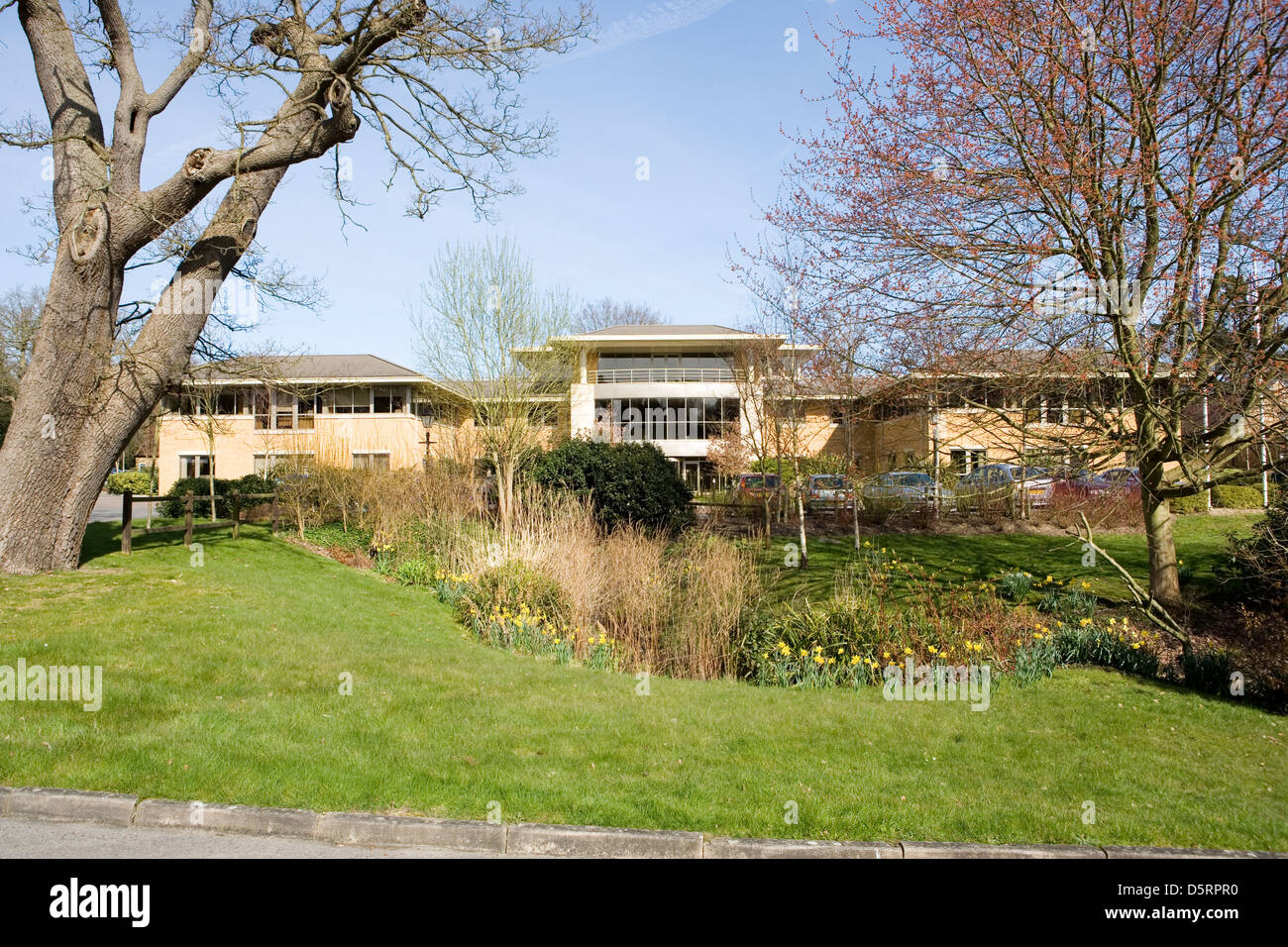 Business Park in un bosco di impostazione Foto Stock