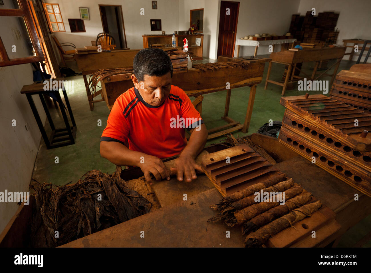 Sigari in produzione presso la fabbrica di sigari Joyas de Panama, il villaggio la Pintada, la provincia di Cocle, Repubblica di Panama, America Centrale. Foto Stock