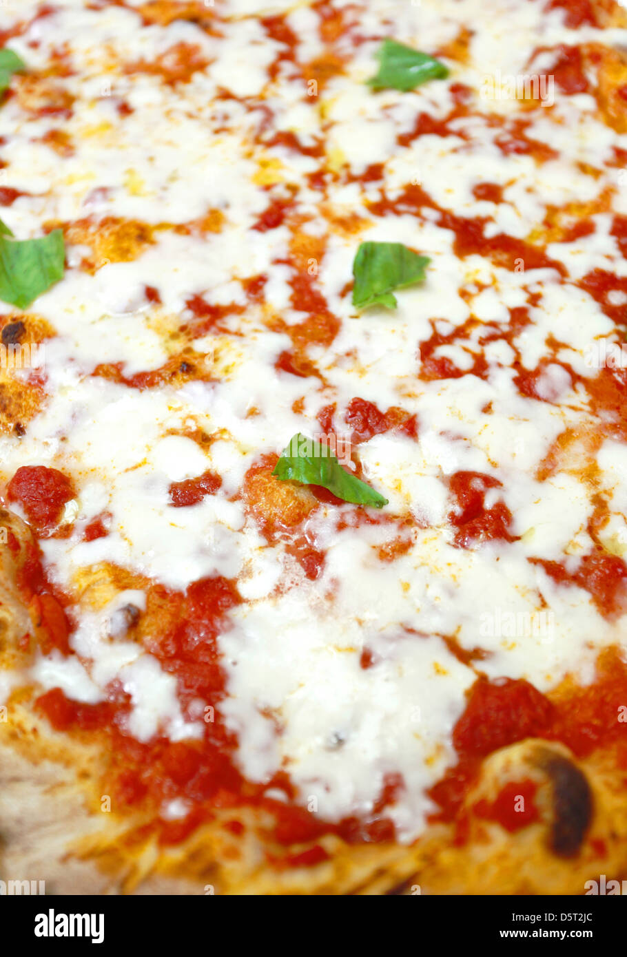 Italian pizza cotta nel forno elettrico Foto Stock