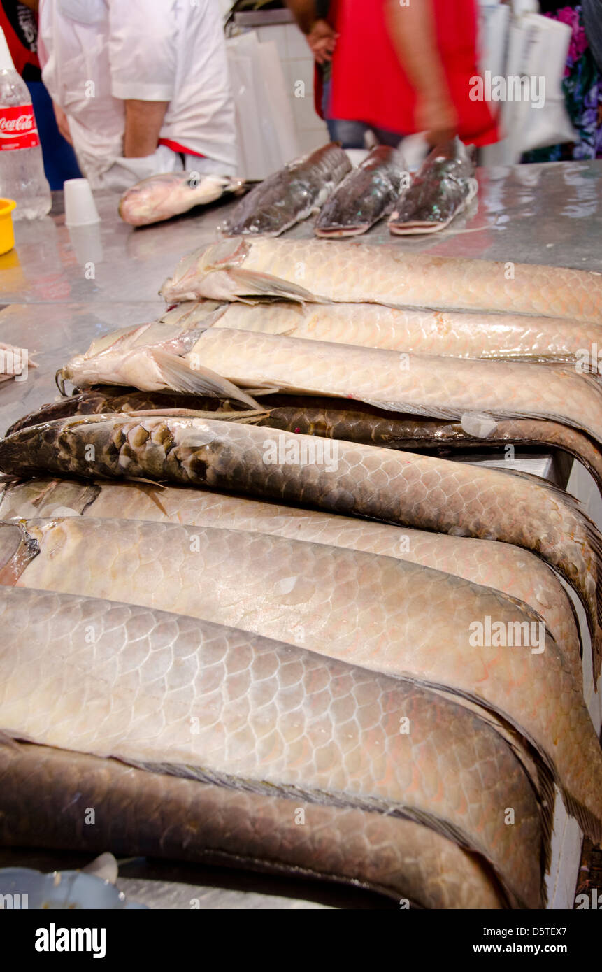 Il Brasile, Amazon, Manaus. Mercato comunale (aka ferro di mercato o il Mercado Municipal), il mercato del pesce. Foto Stock