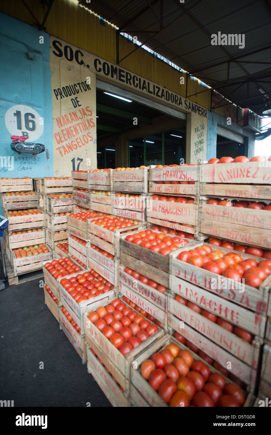 Casse di pomodori a basso Valledor centrale producono all'ingrosso mercato in Santiago del Cile Foto Stock