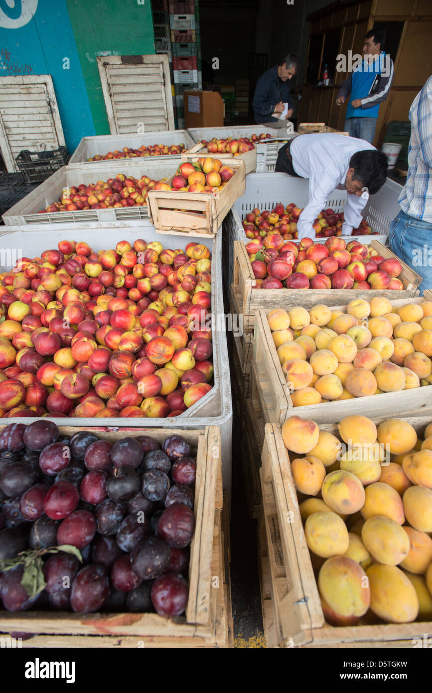Casse di frutta a basso Valledor centrale producono all'ingrosso mercato in Santiago del Cile Foto Stock