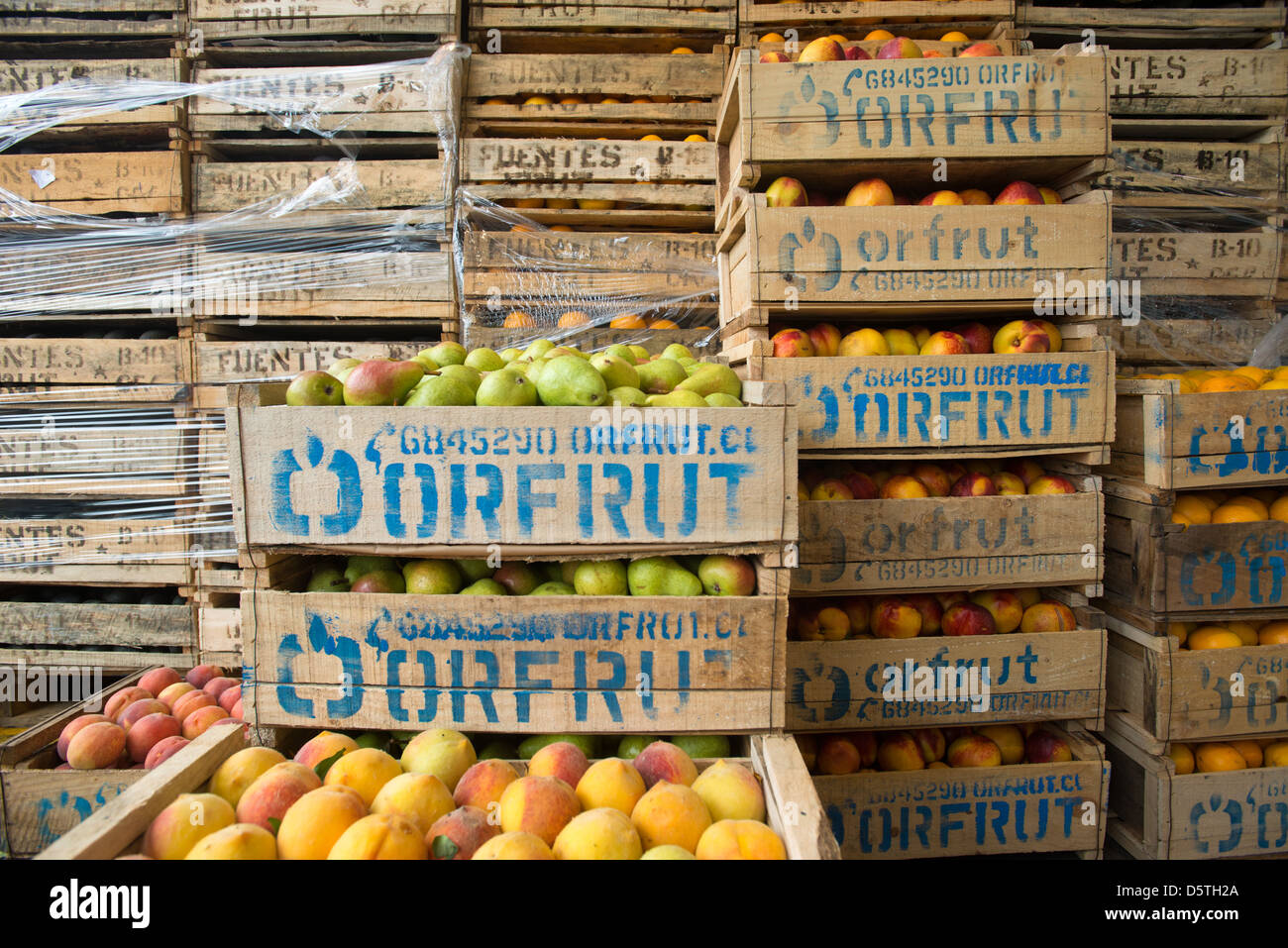Casse di frutta a basso Valledor centrale producono all'ingrosso mercato in Santiago del Cile Foto Stock