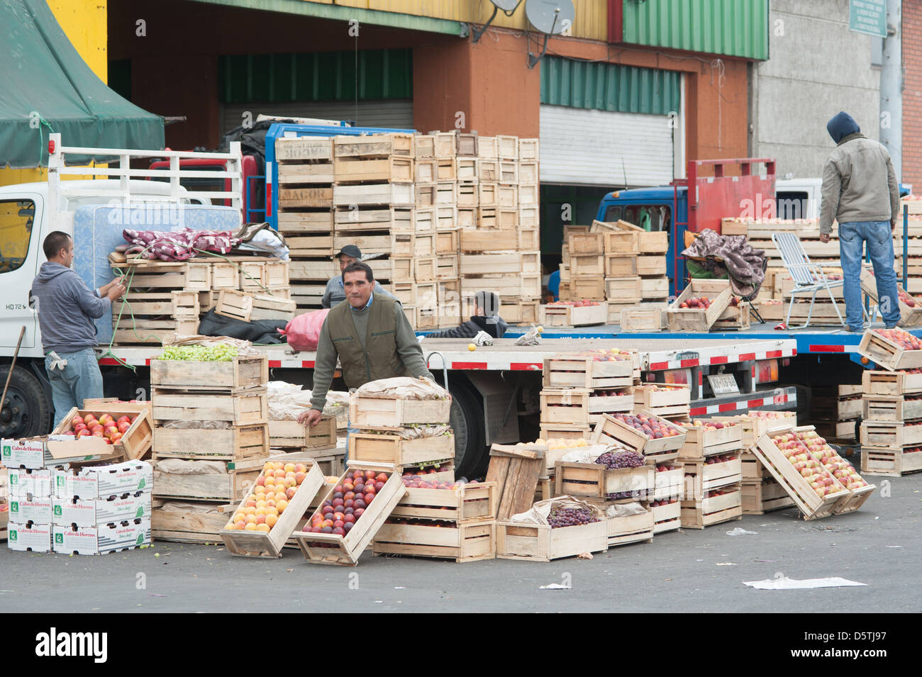 Lavoratore spostando le cassette di frutta a basso Valledor centrale producono all'ingrosso mercato in Santiago del Cile Foto Stock