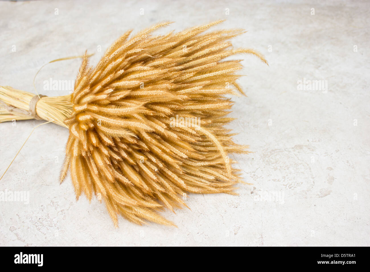 Un covone di grano sul terreno. Foto Stock