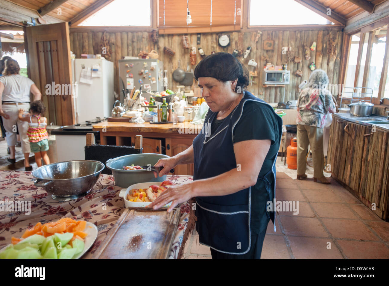 Raccolta di gruppo per un pasto in una fattoria di Rancagua, Cile Foto Stock