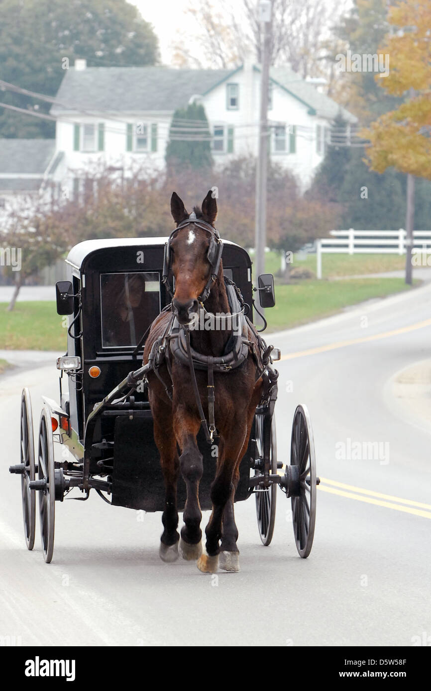 Cavallo e buggy Pennsylvania Dutch Lancaster County, Amish, Mennoniti, semplice vivere, carrozze,,la libertà di religione, Foto Stock