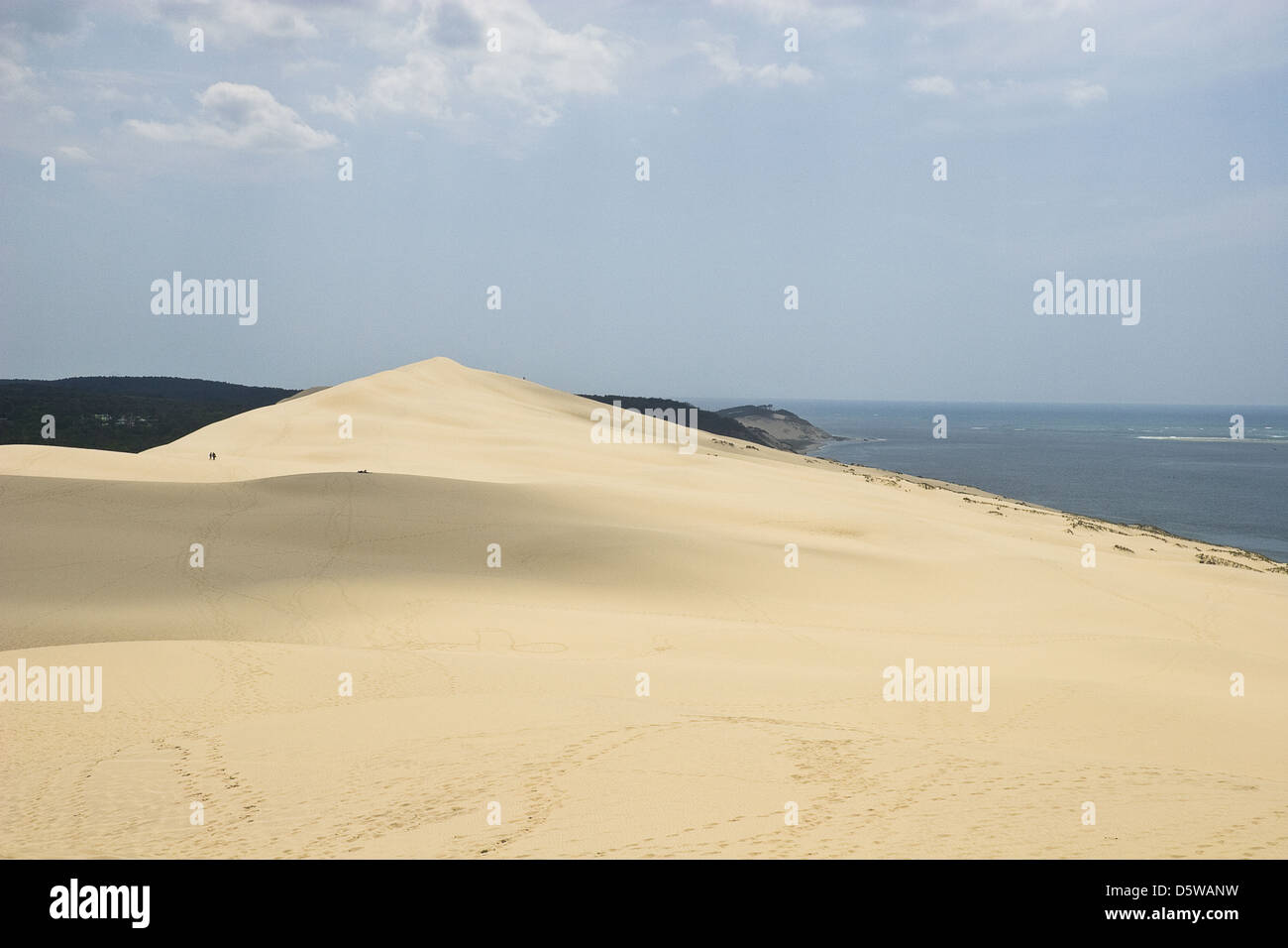 Dune del deserto vicino al mare Foto Stock