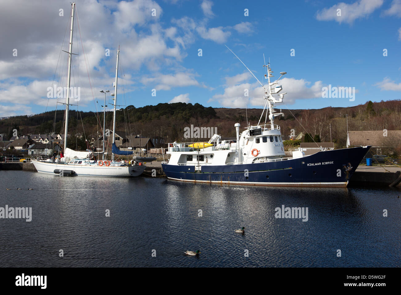 Due navi sul Caladoinan Canal, la fauna selvatica che la nave di crociera Hjalmar Bjorge e l'Oceano spirito di Moray. Foto Stock