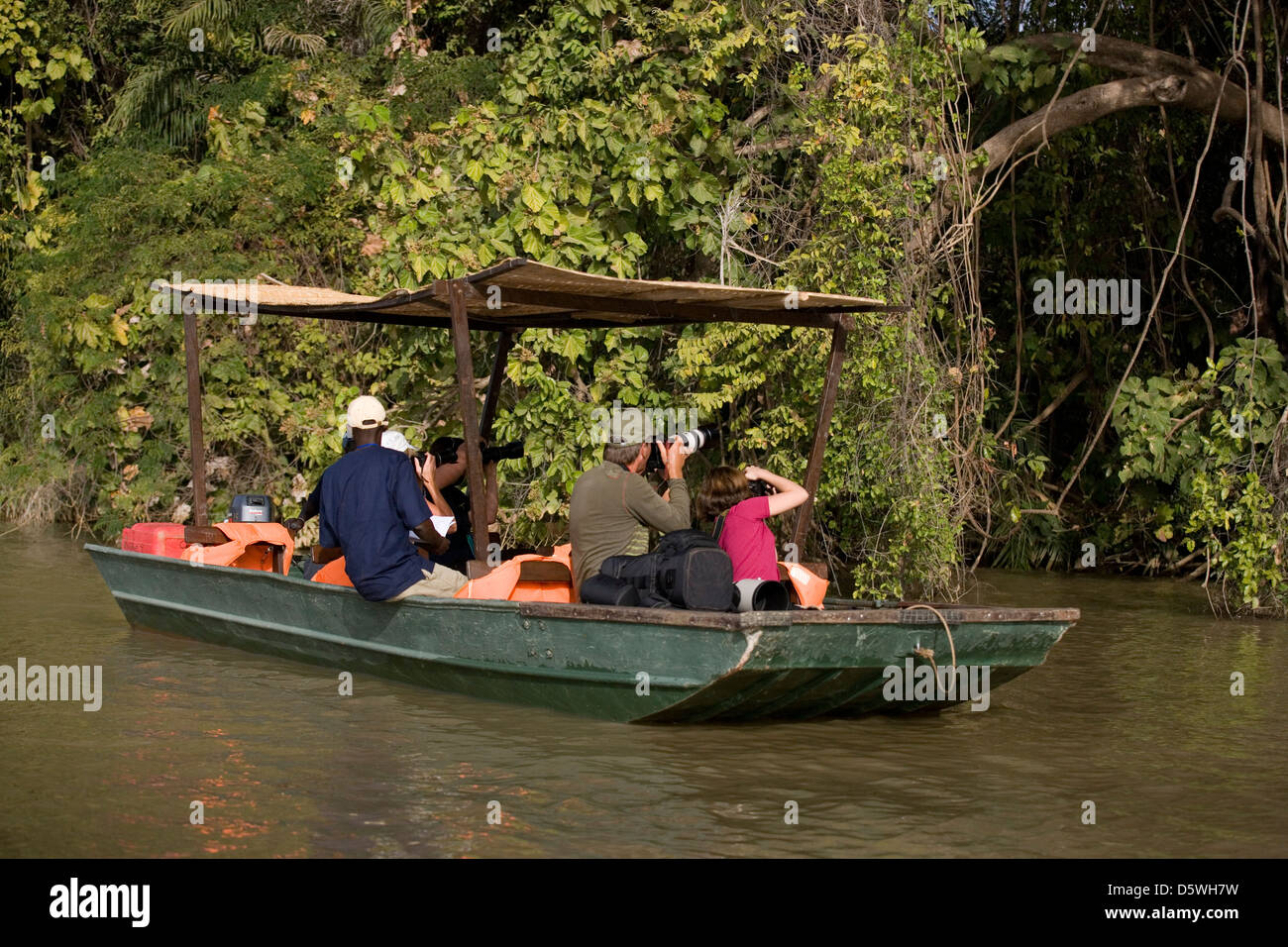 Gambia: fiume Gambia birdwatching Foto Stock