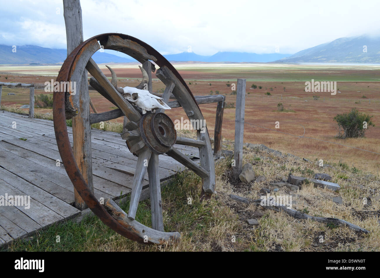 Vecchia ruota del carro e il cranio di pecora al ranch avamposto nel parco nazionale Los Glaciares, Patagonia, Argentina Foto Stock