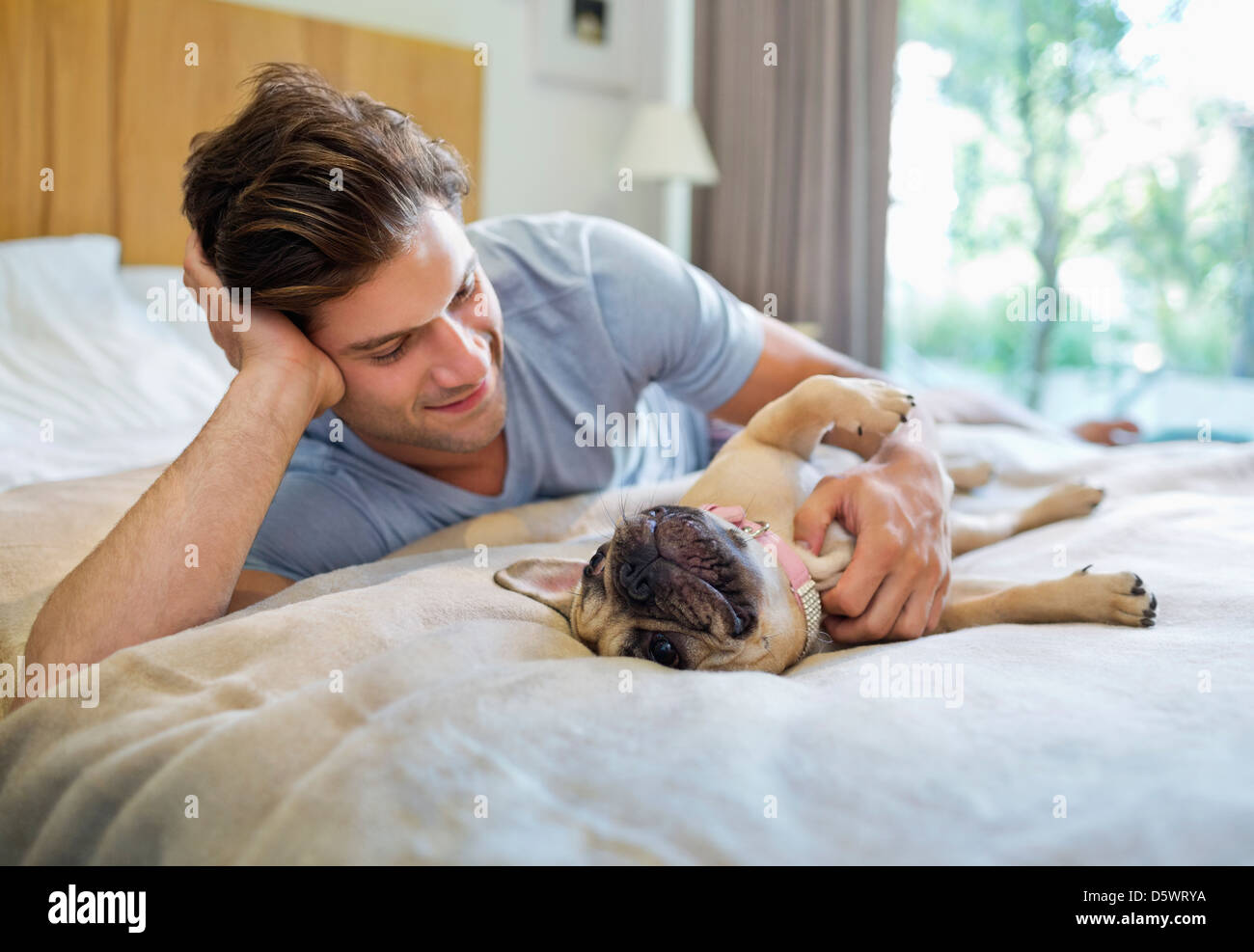 L'uomo petting cane sul letto Foto Stock