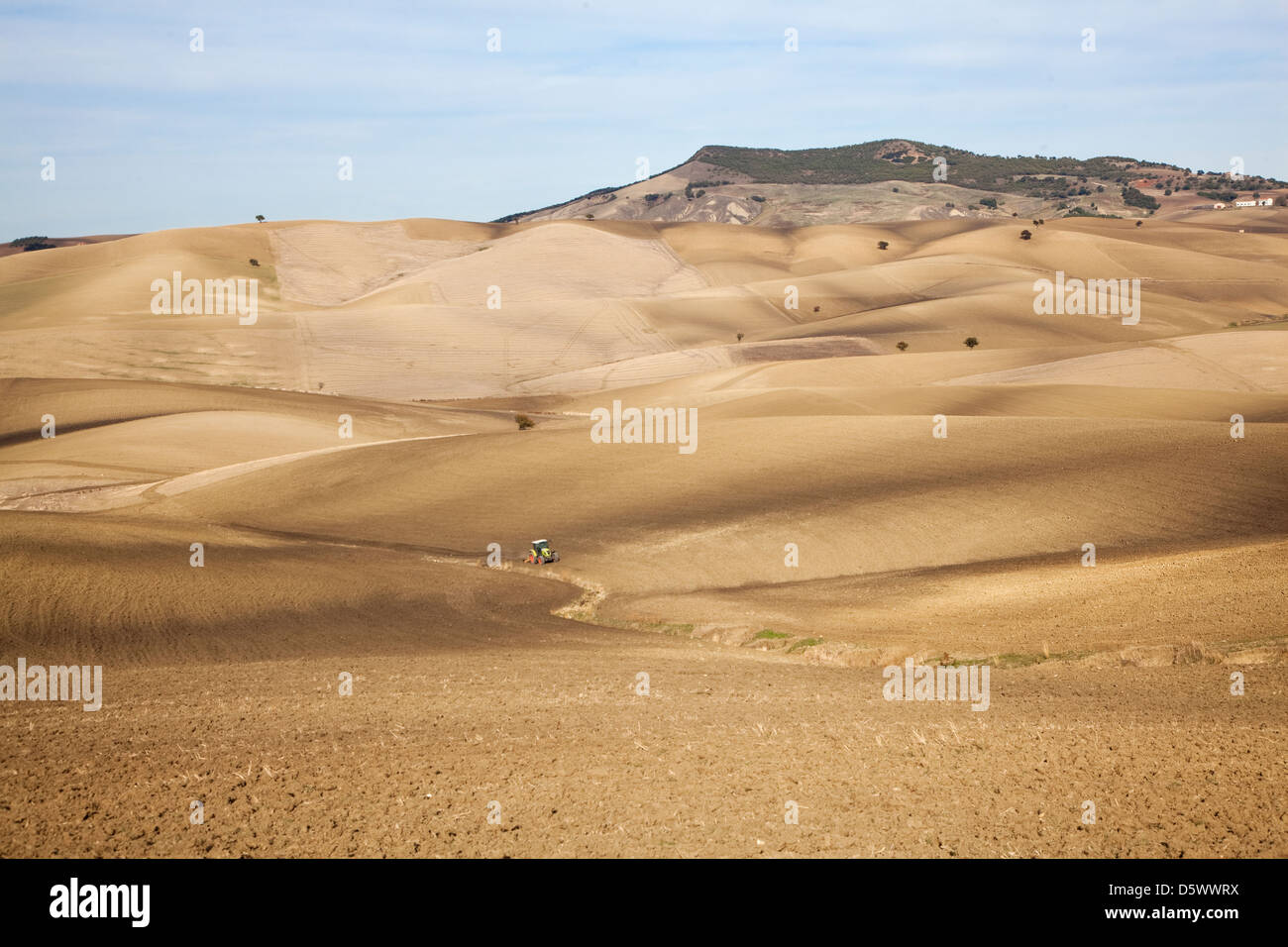 Strada sterrata a secco di paesaggio rurale Foto Stock