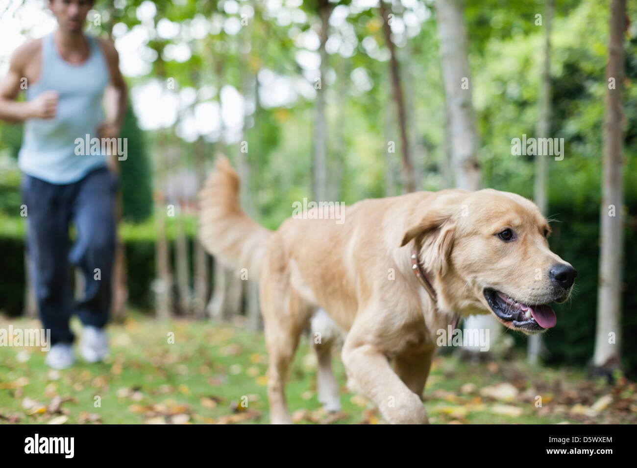 Uomo e cane che corre in posizione di parcheggio Foto Stock