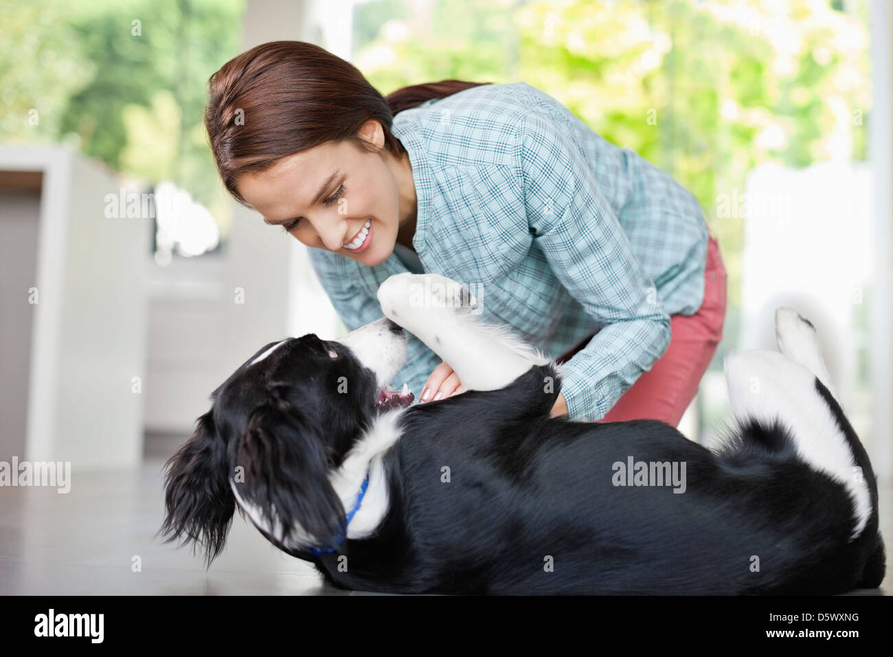 Donna sorridente giocando con il cane Foto Stock