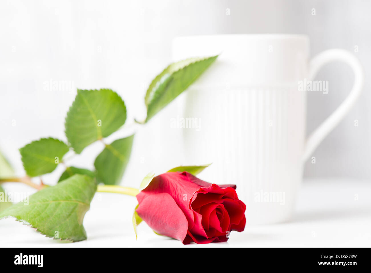 Tazza di caffè e una rosa rossa Foto Stock