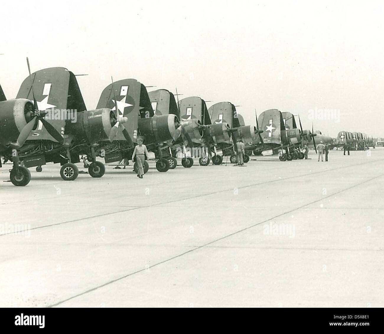 I corsari Vought F4U sono allineati sulla linea di volo durante il 1944-1945, mostrando il loro ruolo di aereo da combattimento basato su portaerei durante la seconda guerra mondiale. Il Corsair era noto per il suo caratteristico design ad ala di gabbiano invertita e il potente motore. Foto Stock