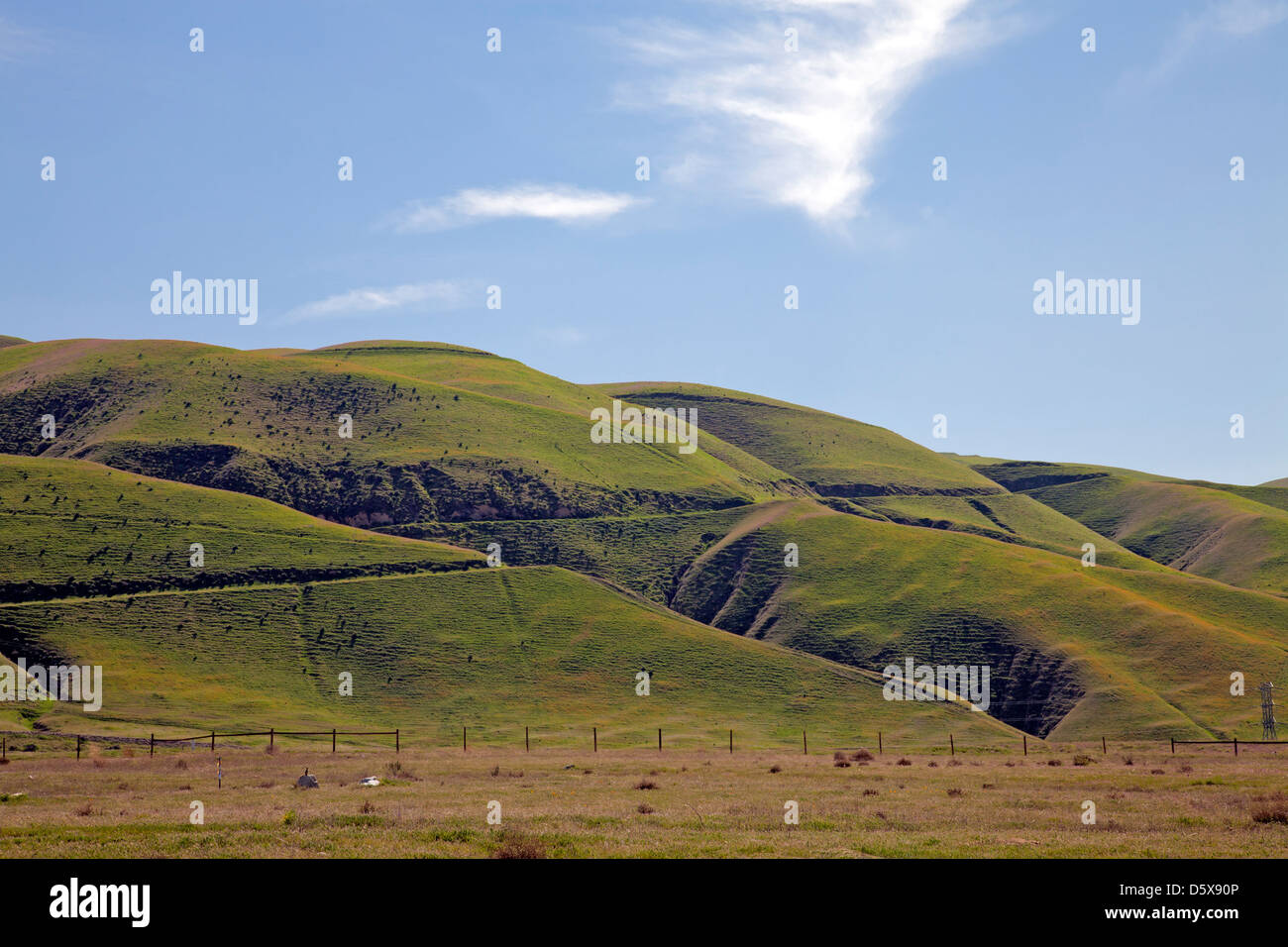 Verdi colline, San Joaquin Valley, Kern County, California , Stati Uniti Foto Stock