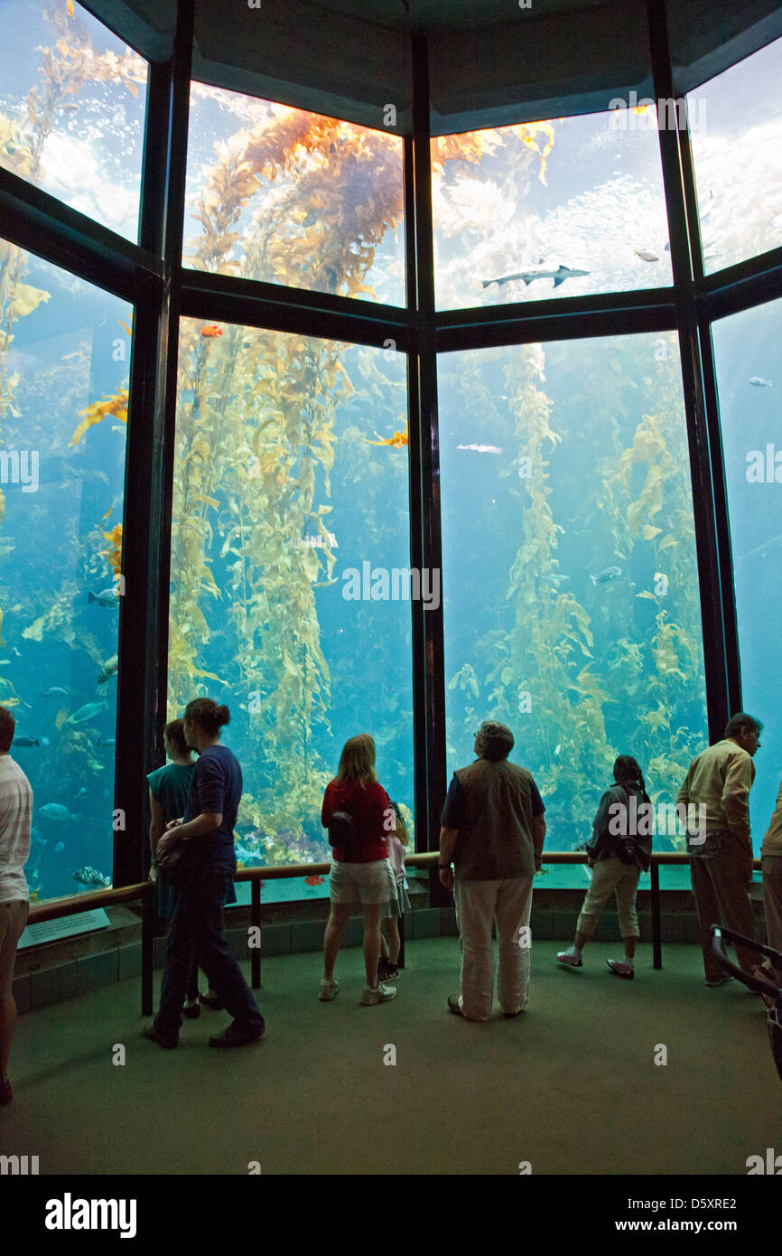 Il Monterey Bay Aquarium, Monterey, California, Stati Uniti d'America Foto Stock