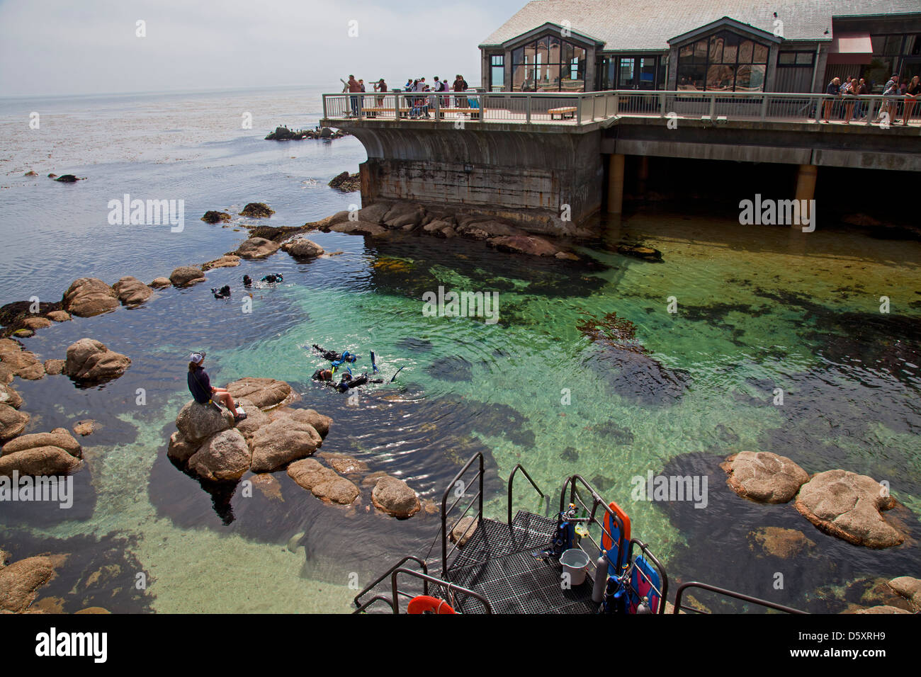 Il Monterey Bay Aquarium, Monterey, California, Stati Uniti d'America Foto Stock