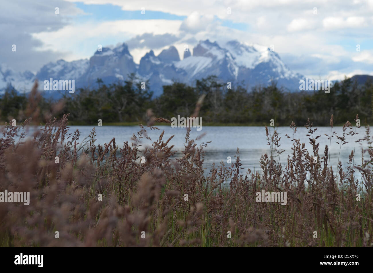 Parco Nazionale di Torres del Paine Foto Stock