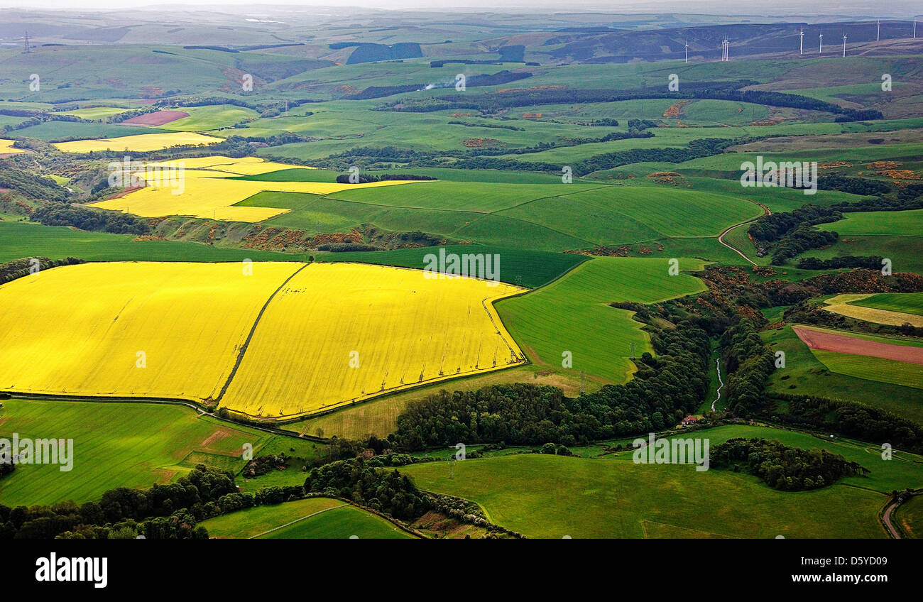 Modelli di campo presi dall'aria. A North Berwick.East Lothian in Scozia. Foto Stock