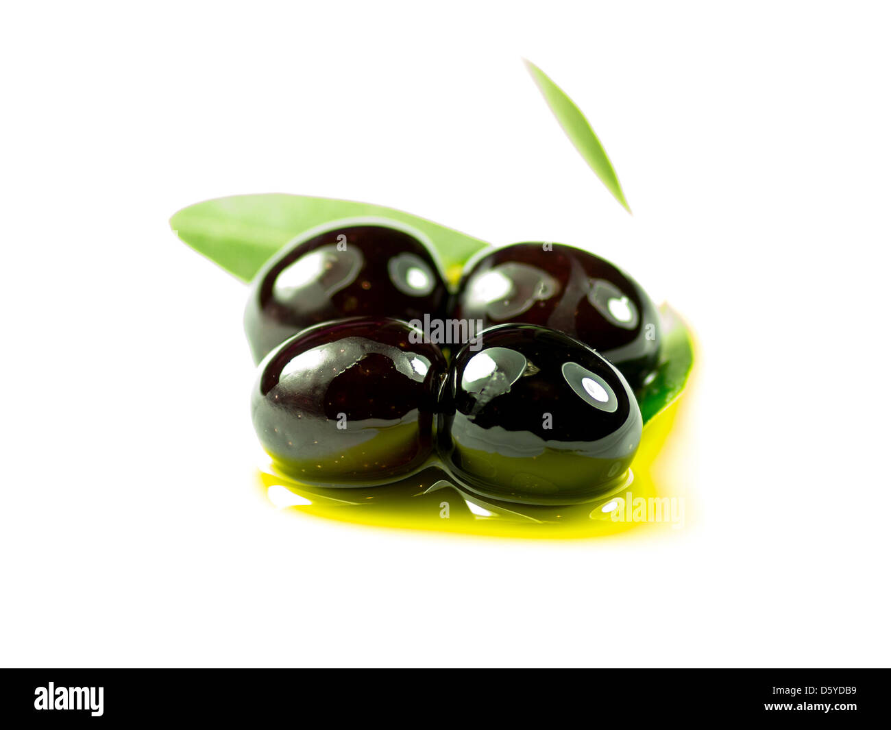 Un ramo di olivo con tre olive premium su olio di oliva su uno sfondo bianco. Foto Stock