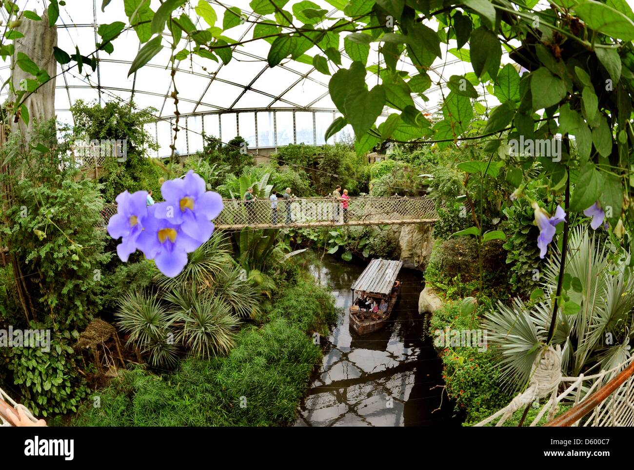 I visitatori seguono un 90m tree percorso superiore a dodici metri al di sopra del terreno al gigantesco palm house 'Gondwanaland' e di una barca presso lo zoo di Lipsia, Germania, 06 novembre 2012. Il 16.500 mq la casa delle palme è chiamato dopo il Gondwana supercontinent e ospita circa 300 animali di 40 specie nonché 17.000 piante tropicali. La più grande casa delle palme in Europa è uno dei concorrenti per Foto Stock