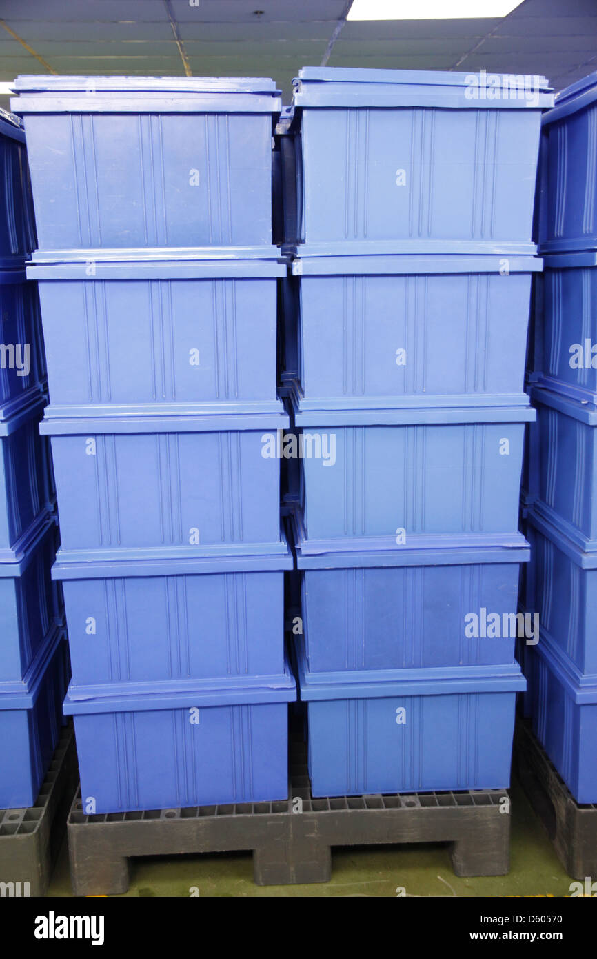 Il blue box di plastica prodotti in fabbrica industriale. Foto Stock