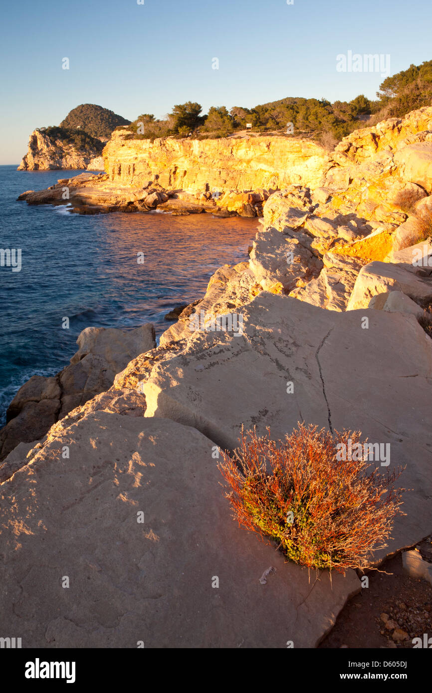 Punta de Sa Galera cape vicino a Sant Antoni de Portmany, Ibiza, Illes Balears, Spagna Foto Stock