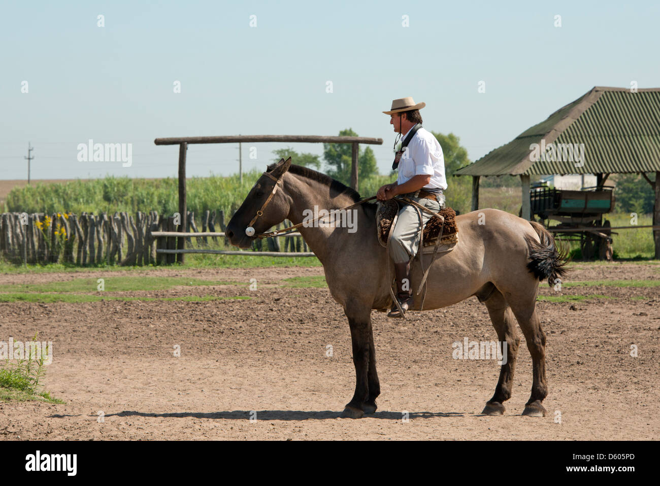 Argentina, Buenos Aires, Estancia Santa Susana. Tradizionale argentino Gaucho sul ranch cavallo in costumi tipici. Foto Stock