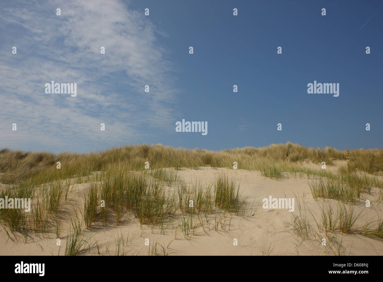 Dune di sabbia con blu cielo nuvoloso Foto Stock