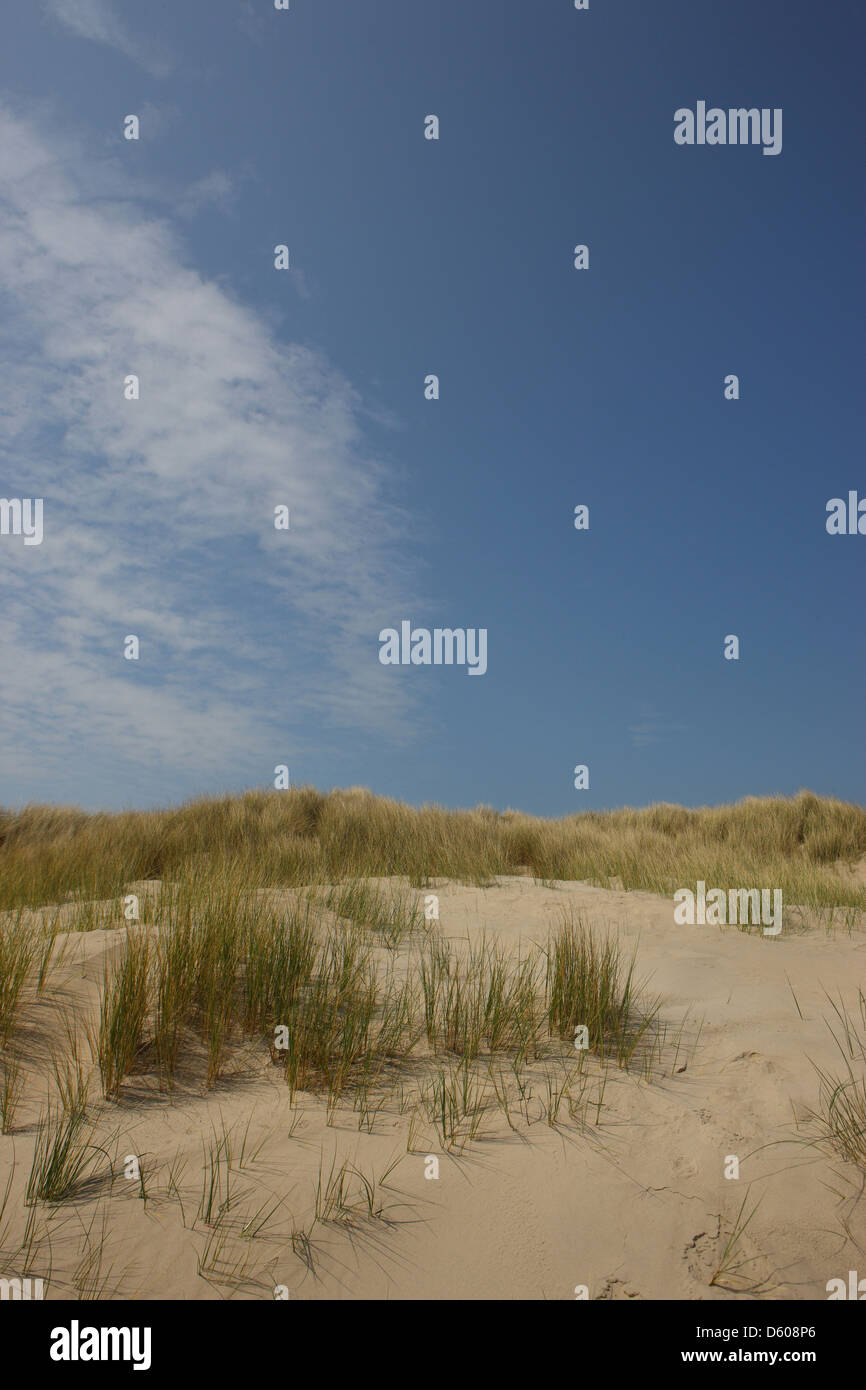 Dune di sabbia con blu cielo nuvoloso Foto Stock