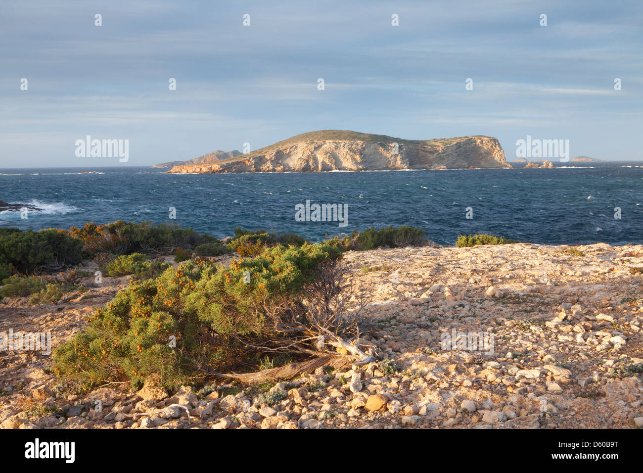 Illa des Bosc islot in Punta de Sa Torre cape, Ibiza, Illes Balears, Spagna Foto Stock