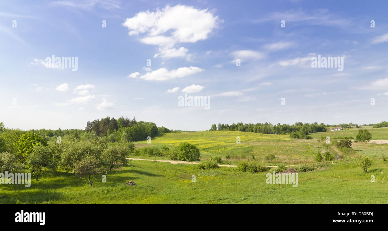 Verde estate rurale paesaggio panoramico Foto Stock