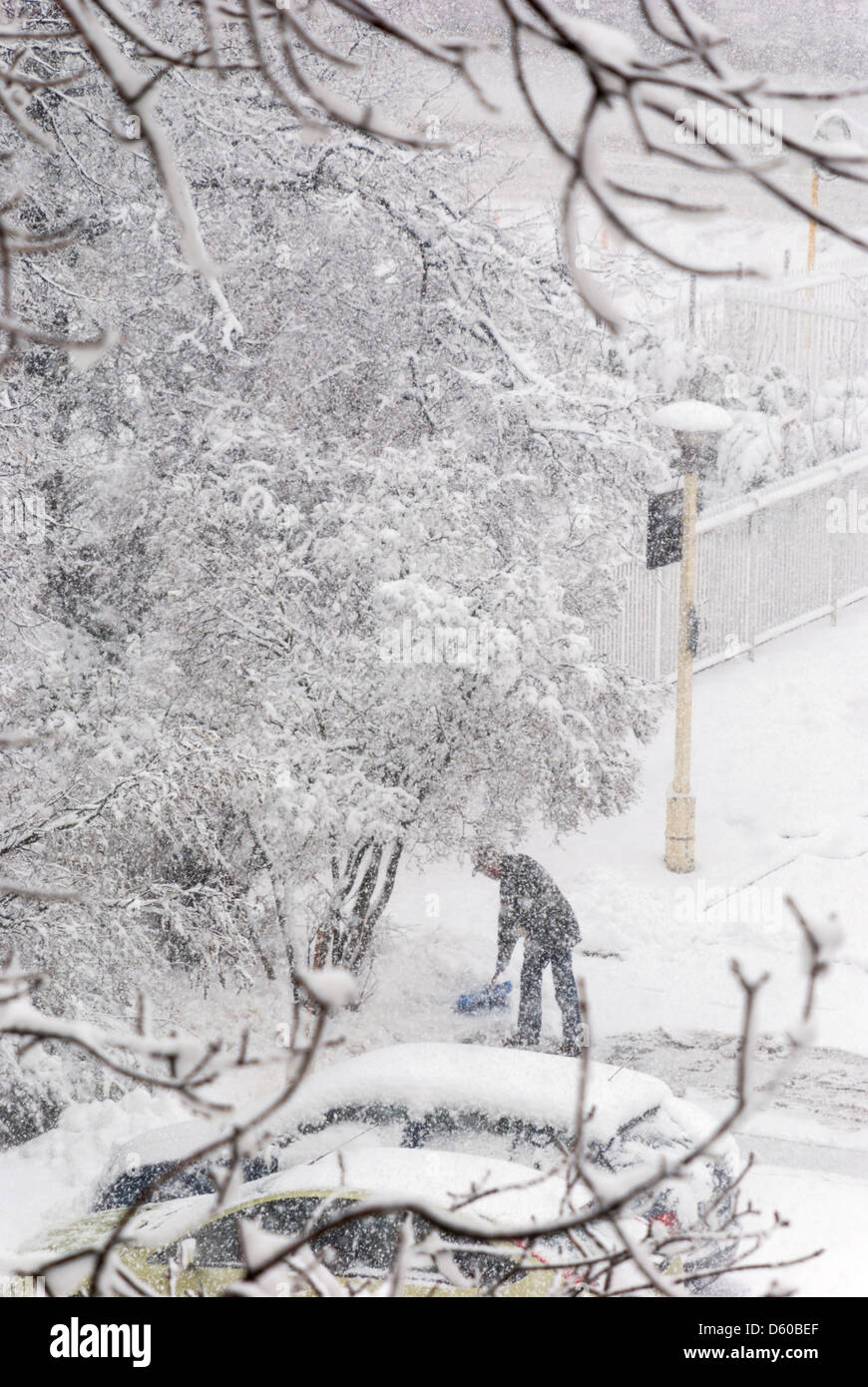 tempesta di neve Foto Stock