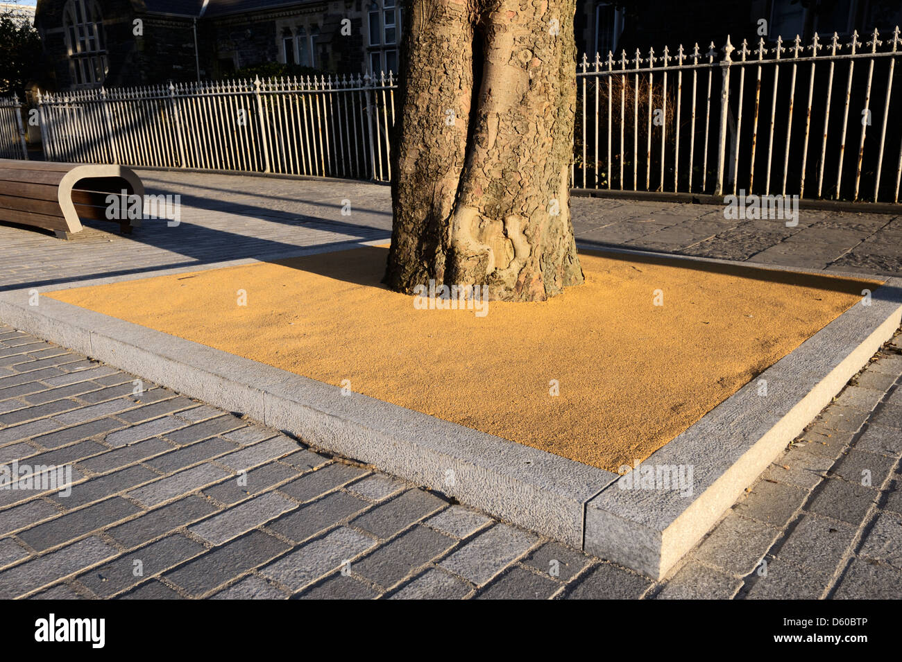 Sollevate struttura permeabile pit intorno a un albero maturo riduce la superficie di deflusso di acqua e protegge l'albero radici, Aberystwyth, Wales, Regno Unito. Foto Stock