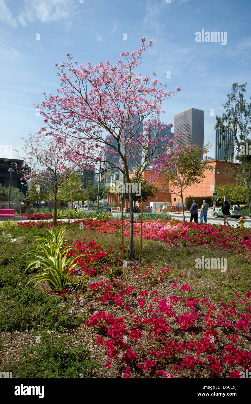 Colorati giardini nel centro di Los Angeles Foto Stock