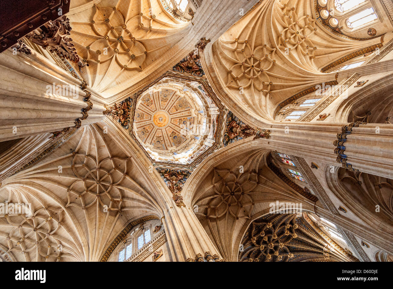 Soffitto di Salamanca la nuova cattedrale, Spagna Foto Stock