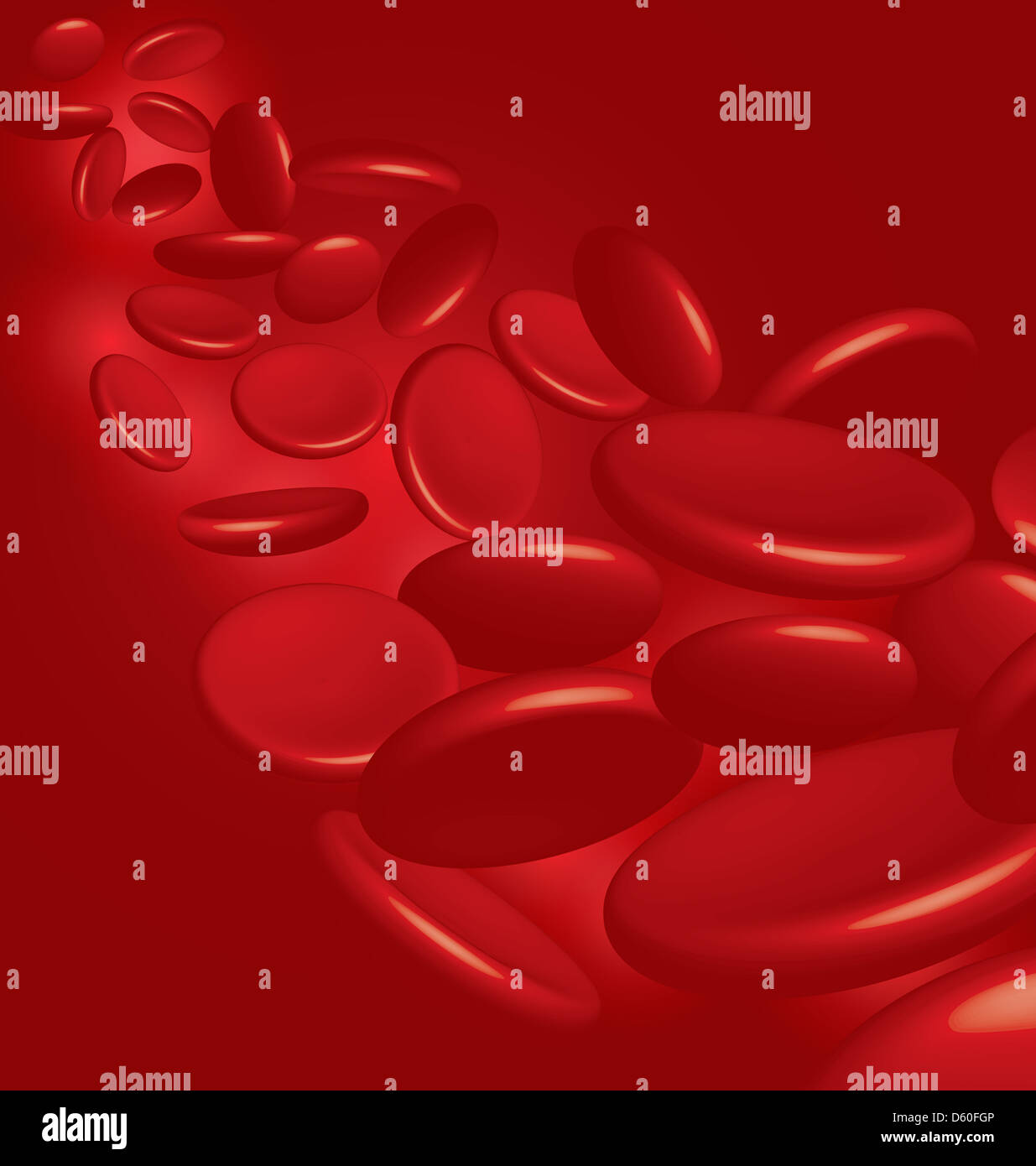 Cellule del sangue Foto Stock