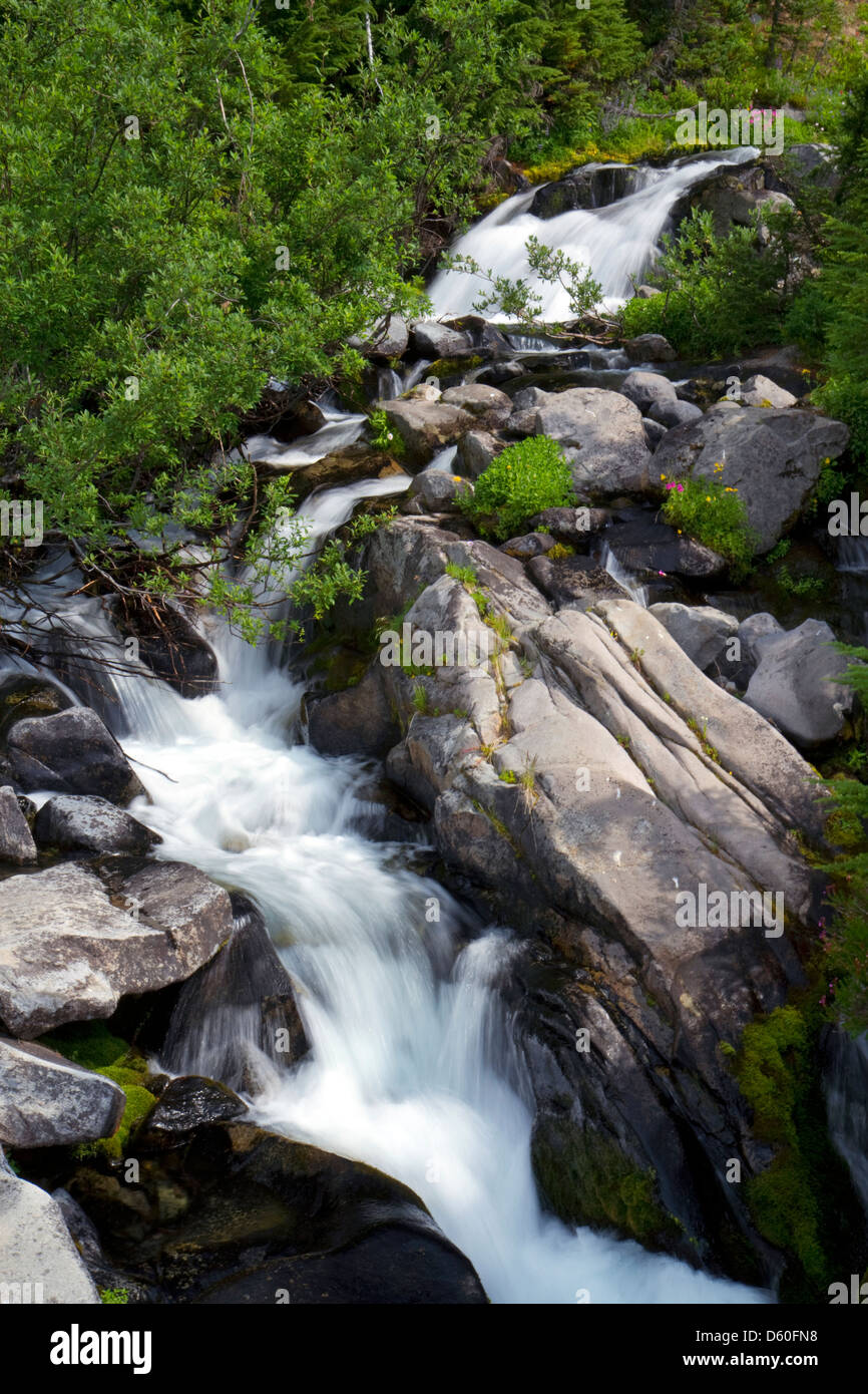 Acqua fresca run off dal Monte Rainier in Mount Rainier National Park, Washington, Stati Uniti d'America Foto Stock