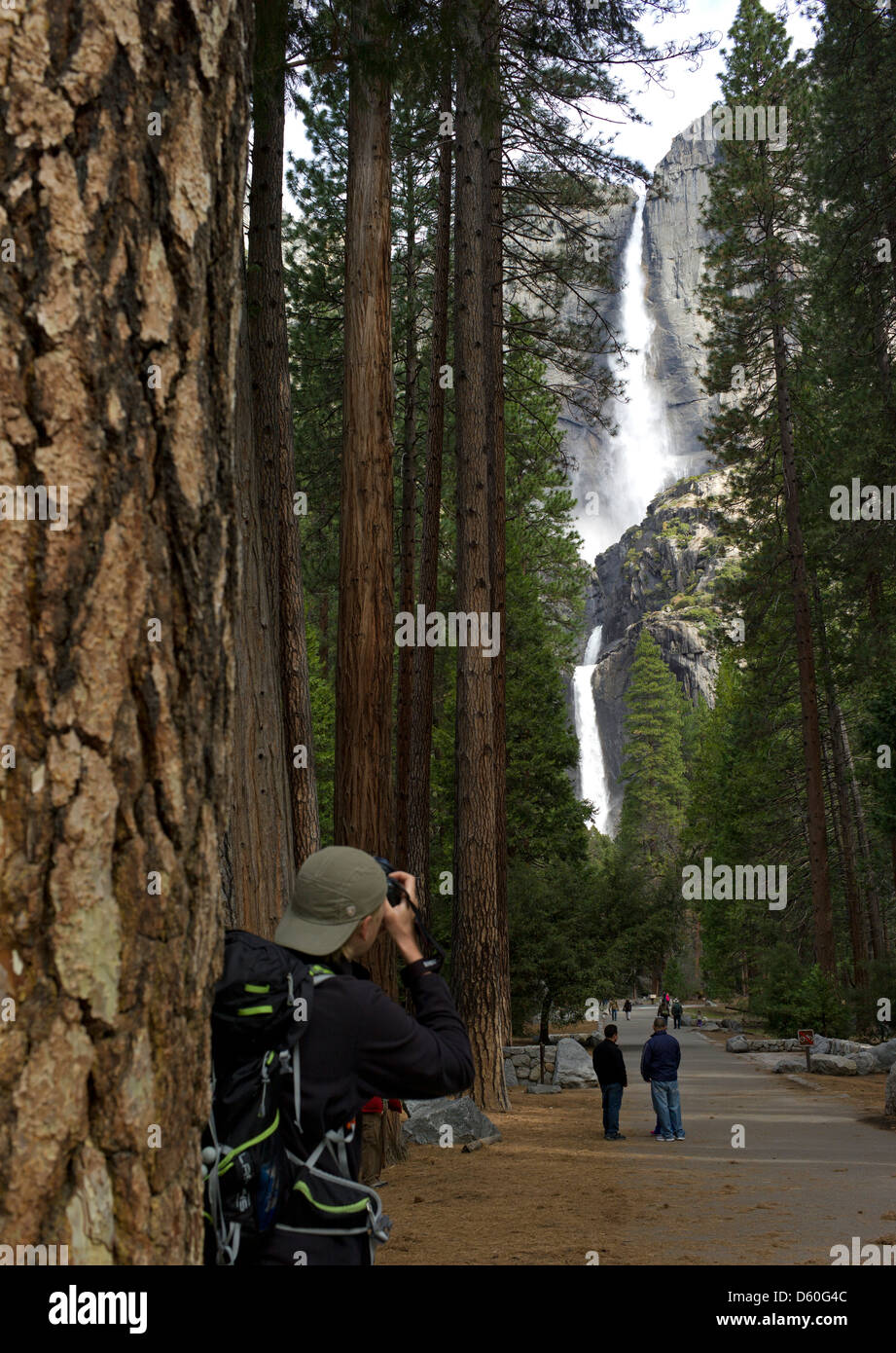 Un fotografo scatta una fotografia della parte superiore e inferiore di Yosemite Falls Foto Stock