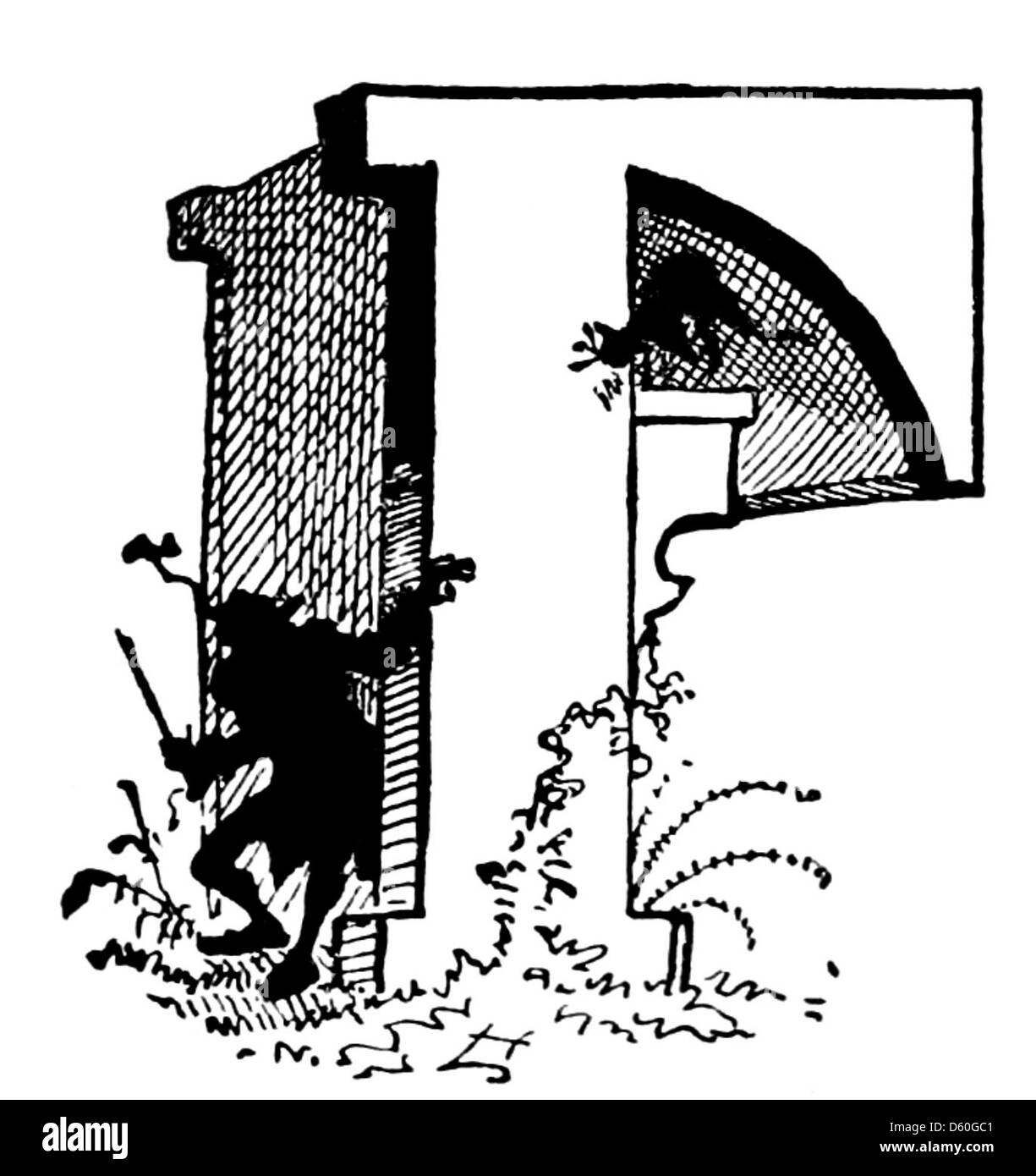 Un'illustrazione del 1878 tratta da "la storia di un gatto", con una semplice silhouette di un gatto. L'opera d'arte cattura l'essenza del soggetto felino in uno stile minimalista, tipico del design grafico del periodo. Foto Stock